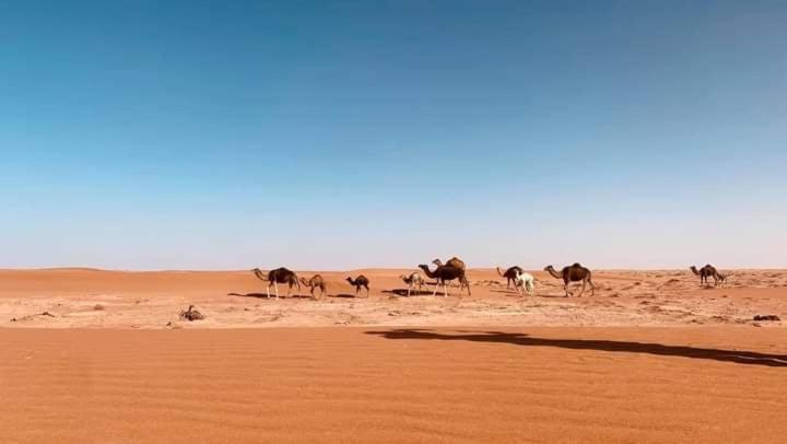 Auberge La Palmeraie M'Hamid Luaran gambar