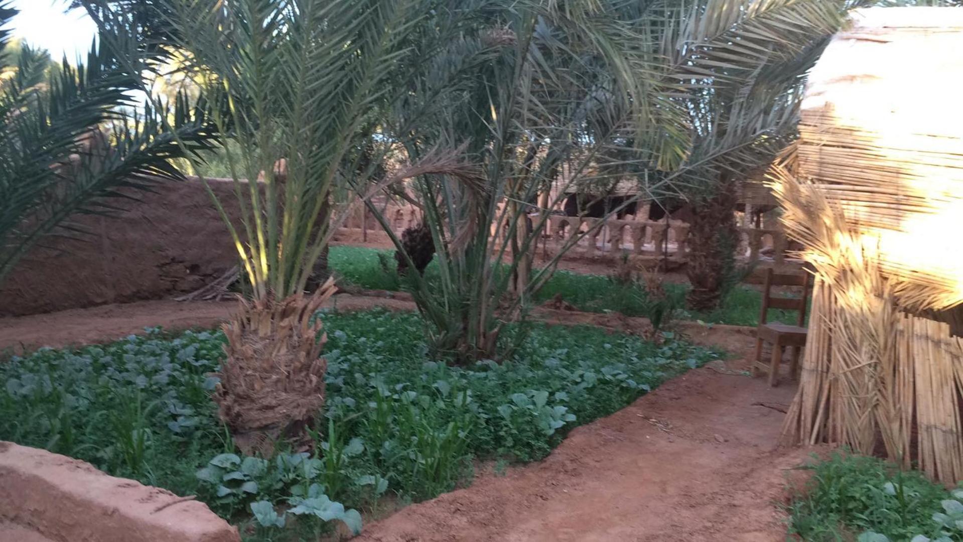 Auberge La Palmeraie M'Hamid Luaran gambar